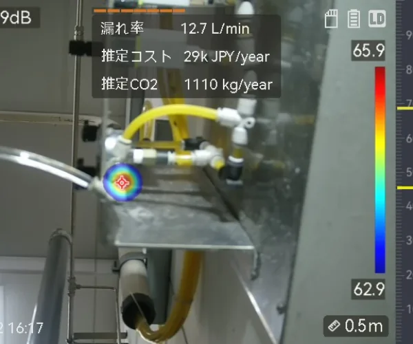 Nitrogen Leak Visualization